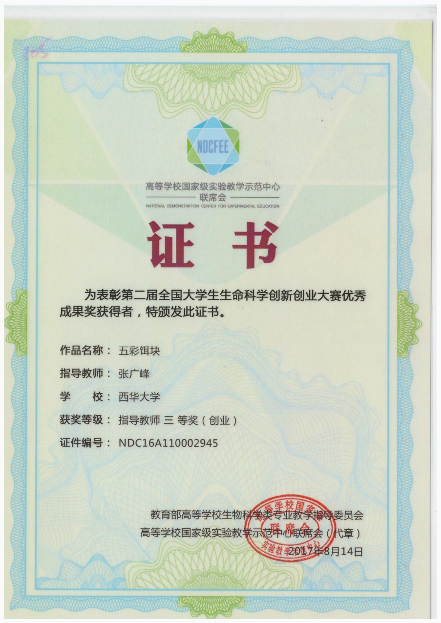 指导教师获奖证书